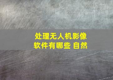 处理无人机影像软件有哪些 自然